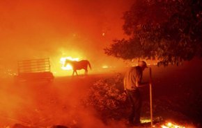 4 وفيات على الأقل في حرائق كاليفورنيا