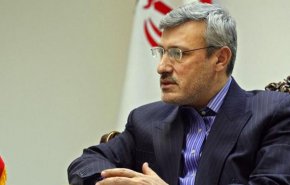 بعیدی‌نژاد: توافق ایران و آژانس، آمریکا را ناامید کرد