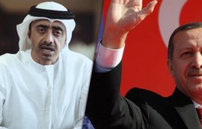 نامه امارات به شورای امنیت: ترکیه  عامل ناامنی در کشورهای عربی است
