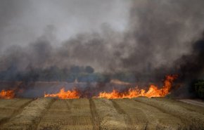 اشتعال حرائق كبيرة في غلاف غزة بفعل البالونات الحارقة