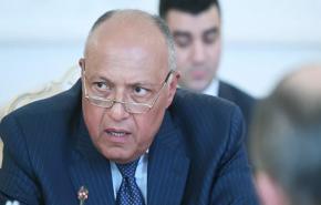 وزير خارجية مصر يبحث مع وليامز مستجدات المشهد الليبي
