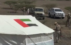 مطالبات لهادي للتحرك ضد مشروع الإمارات في سقطرى