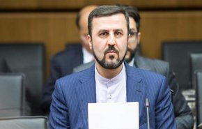 هذا ما استدل به غريب آبادي على شفافية النووي الايراني