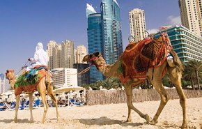 کاهش چشمگیر سرمایه گذاری خارجی در عربستان