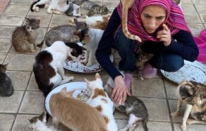 بالصور.. مغربية تحول منزلها إلى مأوى للقطط