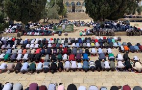 1200 فلسطيني صلوا اليوم في المسجد الاقصى 