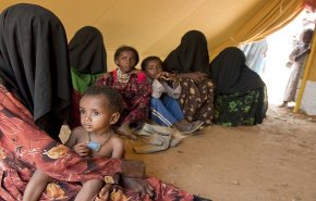 نزوح أكثر من 606 ألف أسرة و4 ملايين يمني حتى نهاية أغسطس + فيديو