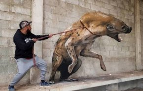 «المخادع».. فنان غرافيتي يحوّل الجدران لتحف تنطق بالإبداع(شاهد)