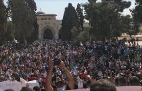 الآلاف ينتصرون للنبي محمد (ص) بالاقصى ويواجهون القمع والاعتقال 