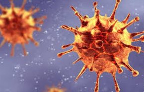 تسجيل 844 اصابة و55 وفاة بكورونا في الاراضي المحتلة