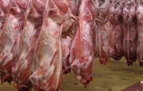 کاهش 10 هزار تومانی قیمت گوشت در میادین میوه و تره‌بار