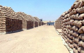 وزير التجارة السوري: مخزون القمح والدقيق يكفي لعدة أشهر