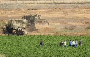 منظمات تطالب الاحتلال بوقف تجريف أراضي زراعية في غزة

