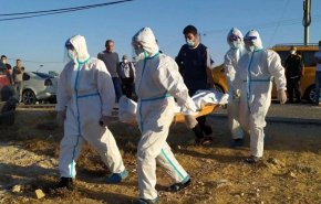 6 وفيات و730 اصابة جديدة بفيروس كورونا في فلسطين