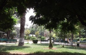 سوريا.. القبض على امرأة تتصيد الفتيات المشردات من الحدائق