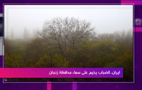 ايران..حصاد قصب السكر من مزارع محافظة خوزستان