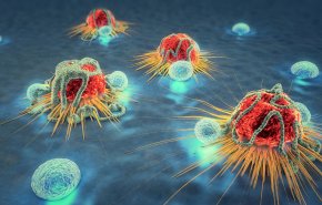 قاتل للخلايا السرطانية.. علماء الوراثة يختبرون فيروسا يهاجم الأورام!