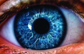 علماء يطورون علاجا جينيا جديدا للشفاء من أمراض العيون المؤيدة لفقدان البصر
