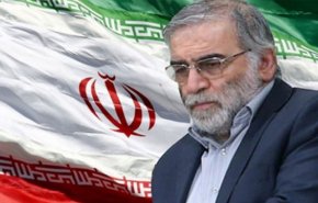 ايران..استشهاد عالم نووي في عملية ارهابية

 
