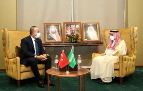 وزير الخارجية التركي يلتقي بنظيره السعودي في النيجر