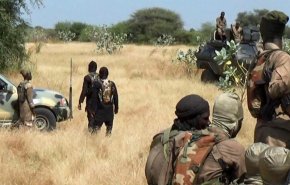 ذبح 43 مزارعا على يد جماعة 'بوكو حرام' الإرهابية في نيجيريا