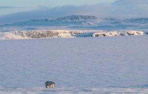 القطب الشمالي.. ارتفاع درجات الحرارة بوتائر قياسية