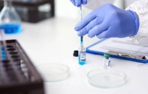 رام الله: 28 وفاة و1564 إصابة جديدة بفيروس 'كورونا'