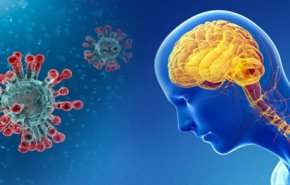 دراسة جديدة تكشف كيف يعبر فيروس كورونا الدماغ