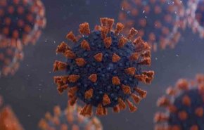 علت پیدایش جهش خطرناک تری از ویروس کرونا در انگلیس فاش شد/  احتمال مجبور شدن کشورها به اقدامات احتیاطی اضافی