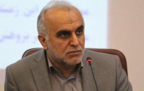 کارت زرد مجلس به وزیر اقتصاد در مورد واگذاری هفت تپه