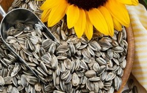 5 فوائد مذهلة لتناول 'اللب' يوميا
