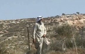 بالفيديو.. مسن فلسطيني يواجهة جنود الاحتلال بالحجارة