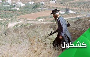 الإمارات تشرعن الاستيطان بالعسل وزيت الزيتون!