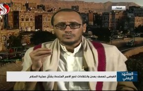 اقدامات گریفیتس در یمن تنها به سود متجاوزان و دولت دست نشانده آنها است