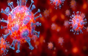 مئات الأنواع من فيروس كورونا قد تعيش في جسم الإنسان