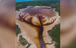 بالفيديو.. رحالة يعثر على 