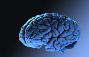 أزمة السمنة قد تعرّض الأفراد لخطر الإصابة باضطراب دماغي