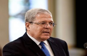 تونس تؤكد دعمها للقضية الفلسطينية خلال ترؤسها لمجلس الأمن الدولي 