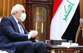 الوفد الحكومي العراقي يختتم اجتماعاته في القاهرة