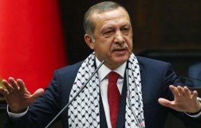 تركيا تعلق على قرار المحكمة الدولية بشأن فلسطين
