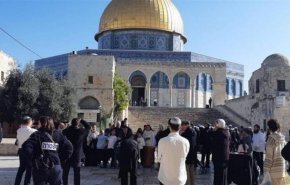 عشرات المستوطنين يقتحمون باحات الأقصى
