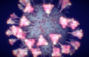 کشف نوع جدید ویروس کرونا در فنلاند