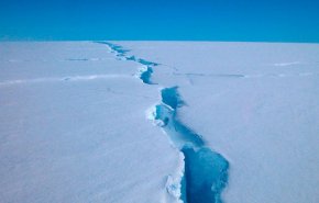 هل يجب خلع ضرس العقل واستئصال الزائدة قبل السفر لـلقطب الجنوبي؟