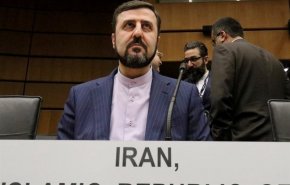 انتقاد ایران از نادیده گرفته شدن فعالیت‌های هسته‌ای رژیم صهیونیستی 