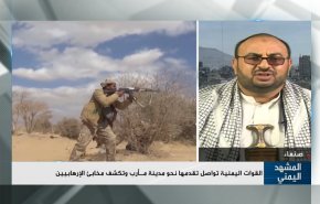 القوات اليمنية تواصل تقدمها نحو مأرب وتكشف مخابئ الإرهابيين