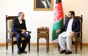موضوعات مشترک و روند صلح افغانستان؛ محور دیدار «امینیان» و «محب»
