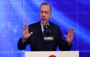 أردوغان: الحل السلمي لن يكون ممكنا إلا باحترام وحدة أراضي سوريا 