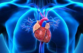 مادة غذائية تقلل من خطر الإصابة باحتشاء عضلة القلب
