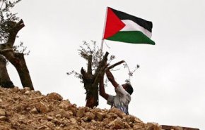 شاهد.. احياء يوم الأرض في فلسطين المحتلة 