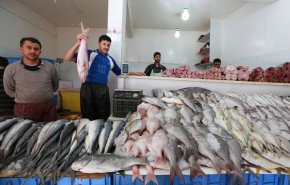 خسائر القطاع السمكي خلال ست سنوات من العدوان على اليمن